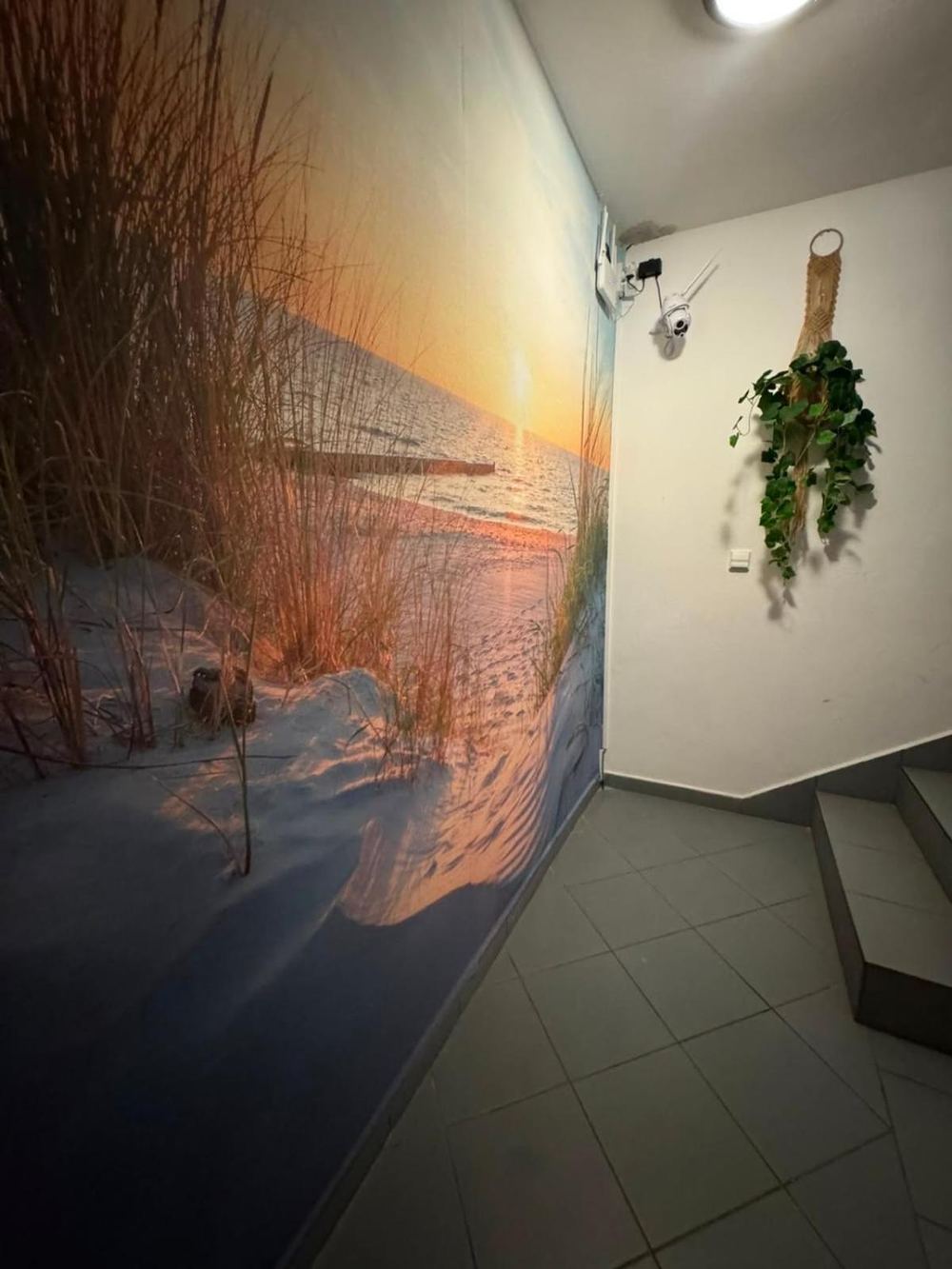 Mewa — morska fototapeta na korytarzu